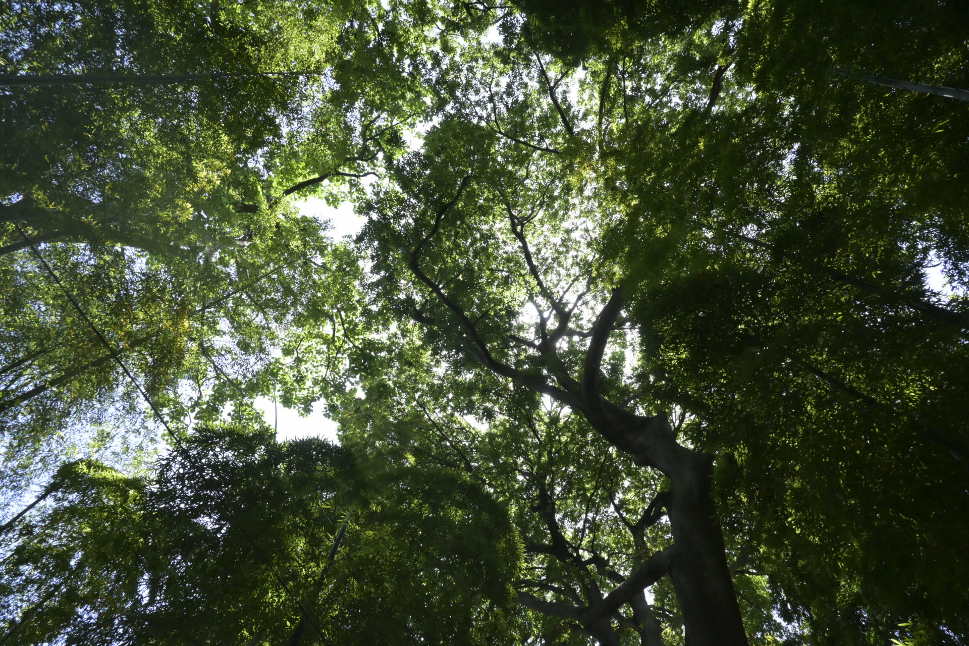 画像 -20260510-020321-a7768f77